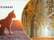 Посеред осені очікується потепління