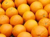 Испания - крупнейший производитель апельсинов в ЕС