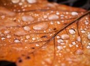 Осенняя депрессия: как справиться