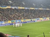 Анел Ахмедходжич святкує гол