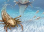 Археологи нашли останки древнейшего в мире морского скорпиона