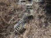 Ситуація загострилася 18 квітня