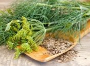 Зовсім необов’язково їх використовувати