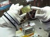 Ученые NASA обнаружили неизвестные микроорганизмы на борту МКС