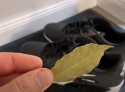 Как убрать неприятный запах из обуви - бюджетный способ