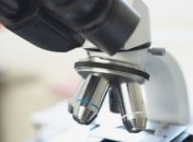 Британские ученые наткнулись на сенсационную находку