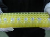 В Турции уже сделали более 2 миллионов тестов на коронавирус