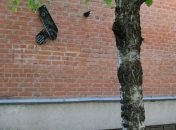 В Полтаве разбили мемориальные доски участникам АТО