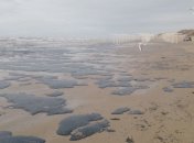 Еще зимой пляжи в Анапе выглядели так