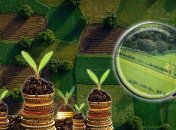 Віддаємо "чорне золото" у приватні руки, недорого: що буде з українською землею після реформи?