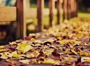 Погода в Украине на сегодня: солнечно будет на западе и севере 