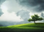 Создан материал для переработки загрязнителей воздуха в полезные химикаты