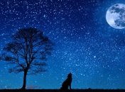 Гороскоп на 23 ноября: успех в личной жизни у Тельцов и неприятные ситуации у Раков