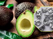 Авокадо та кадмій