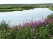 Снимки самых длинных рек на Земле (Фото)