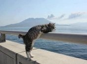 24 сентября 2015, примета дня. Повод организовать вечеринку и вспомнить о море