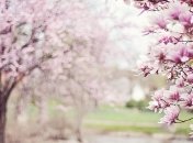 В Украину идет антициклон: синоптики обещают потепление и грозы