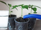 Существует всего два главных запрета