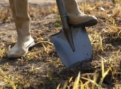 Восстановите почву с помощью полезного раствора