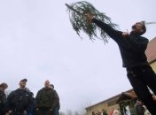 Пенсионер решился выбросить рождественскую елку