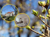 Подгорецкий дворец, весна