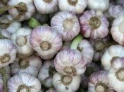 Растения, которые понижают артериальное давление 