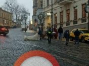 В Киеве мужчина прыжком спасся от жесткого ДТП (фото)