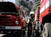 Лесной пожар площадью 100 га в Херсонской области ликвидирован