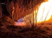 Во Львове из-за поджигателей сухой травы загорелся газопровод (Видео)