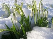 1 марта. Приметы дня