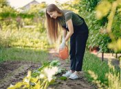 Приготувати розчин для обприскування можна своїми руками