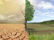 Ученые обнаружили новый источник вредных парниковых газов