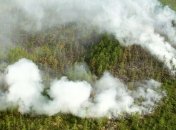 В России горит рекордное количество леса: к тушению привлекают военных (фото)