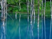 Потрясающий голубой пруд на острове Хоккайдо (Фото)