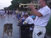 Трубач на набережной Ялты