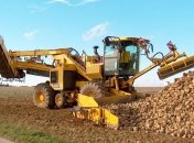 Ученые: сахарная свекла способна заменить человеческую кровь