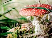 Пищевое отравление: ТОП-5 самых опасных продуктов для организма