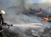 В Болгарии на границе с Турцией загорелся лес