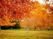 30 сентября. Приметы дня