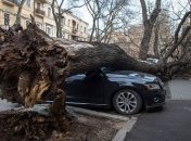 Сорванные крыши, поваленные деревья и один погибший: в Украине бушует ураган