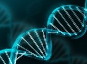 Двойники: существуют ли генетические копии людей?