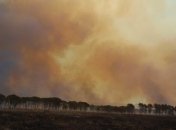 Пожары в Италии - не только из-за рекордной жары