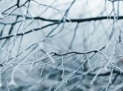 Небольшие морозы и снег: прогноз погоды на воскресенье, 22 ноября