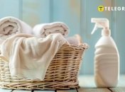 Прати речі потрібно правильно  (зображення створено за допомогою ШІ)