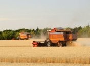 Янукович: нынешний урожай зерна войдет в тройку лучших за 20 лет