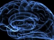 Найдена зона мозга, отвечающая за уникальность человеческого разума 