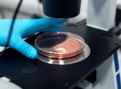 В Китае ученые дали название смертельному коронавирусу из Уханя (Видео)