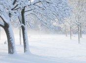 Прогноз погоды в Украине на 27 января: снежно и холодно