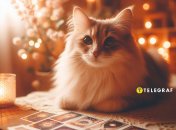 Гороскоп Таро, чего ждать 21 января