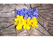 День Конституции Украины 2018: красивые поздравления с праздником в стихах, прозе и смс